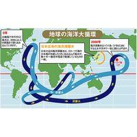 海洋深層水のマハロ(1.5L×12本セット/送料無料)