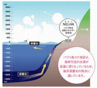 海洋深層水のマハロ(1.5L×12本セット/送料無料)